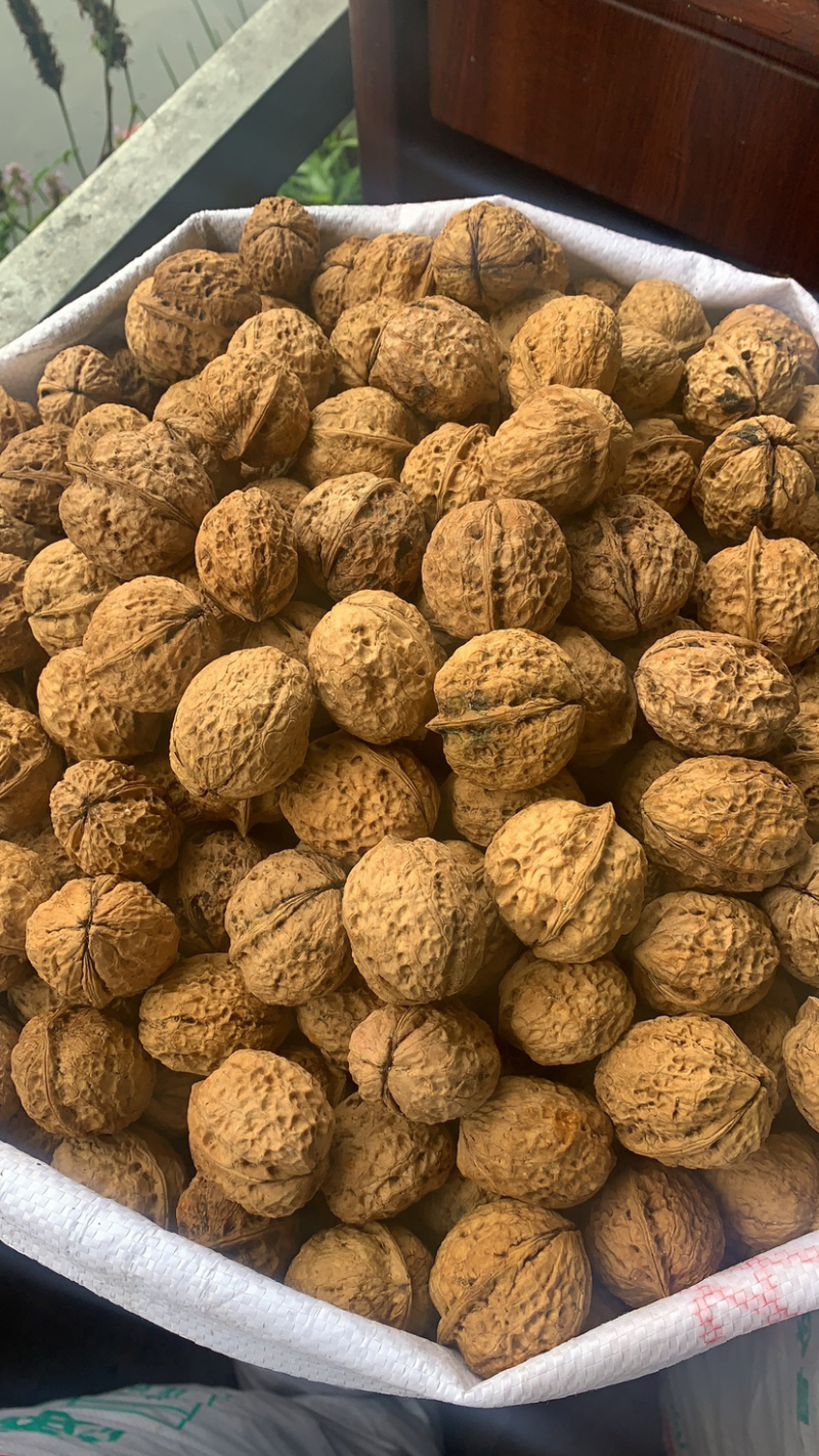 云南核桃薄皮核桃新货一手货源
