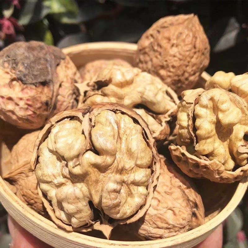 云南核桃薄皮核桃新货一手货源