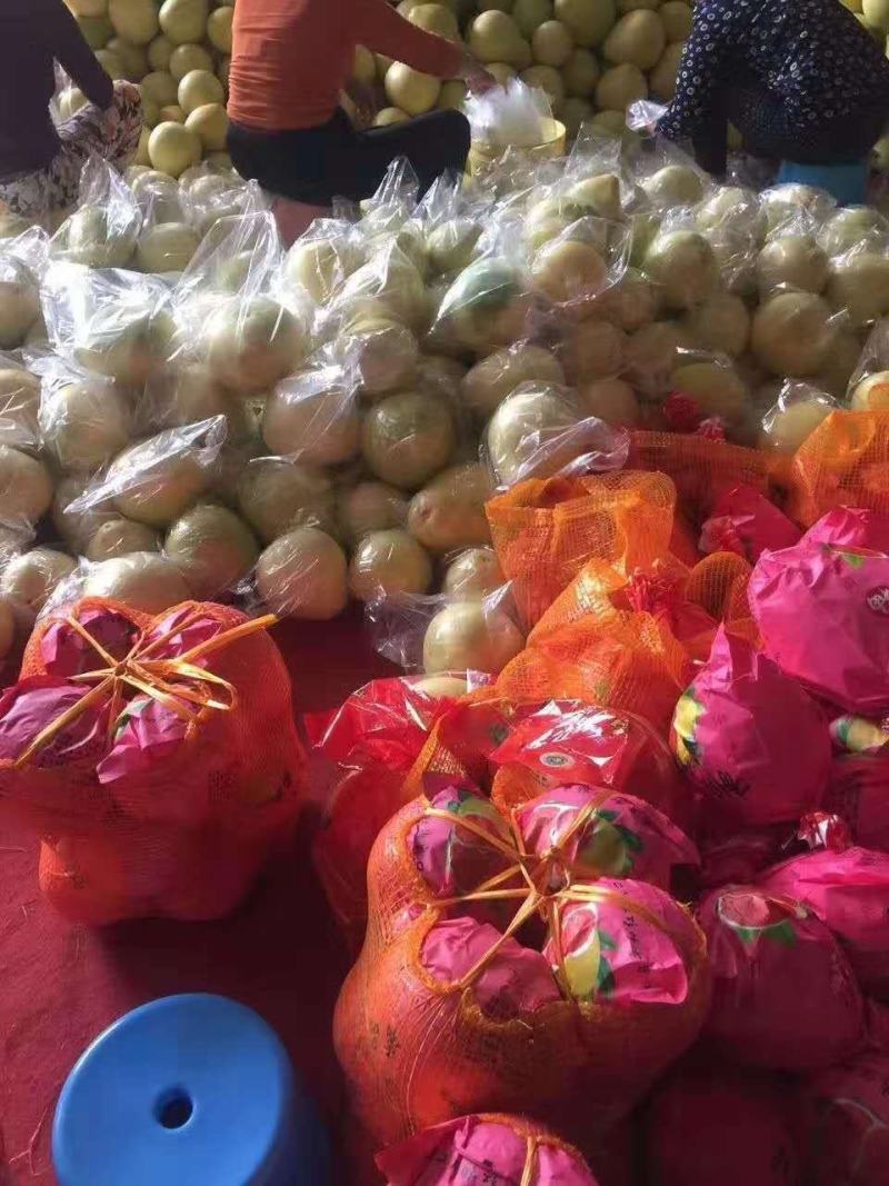 红心柚子现摘现发甜度高，水分足，一手货源