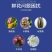 进口荷兰可利鲜鲜花保鲜剂营养液延长剂百合通用型小袋装花店