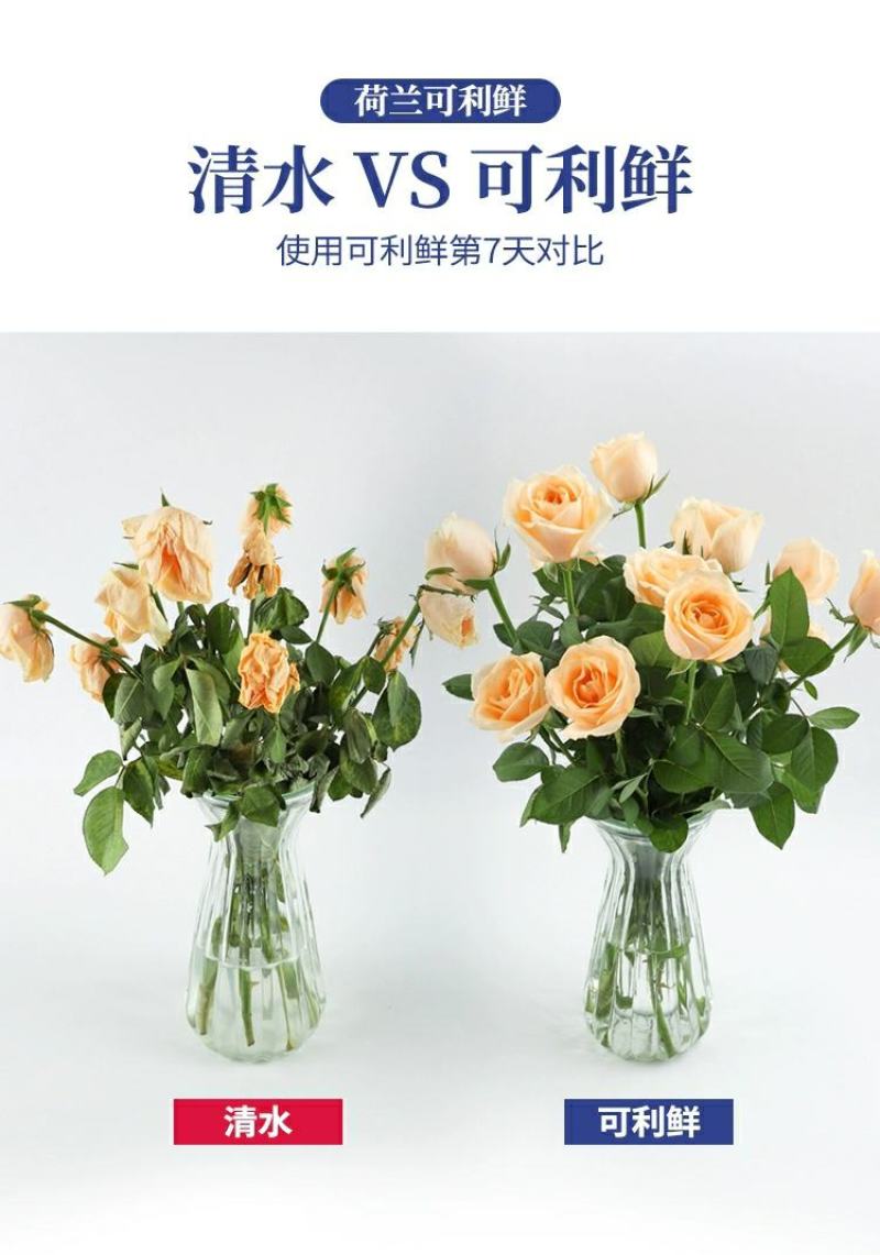 进口荷兰可利鲜鲜花保鲜剂营养液延长剂百合通用型小袋装花店