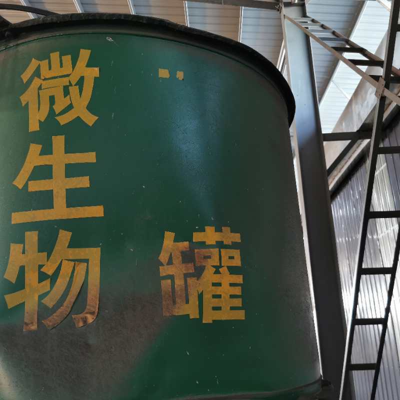 海藻生物菌肥