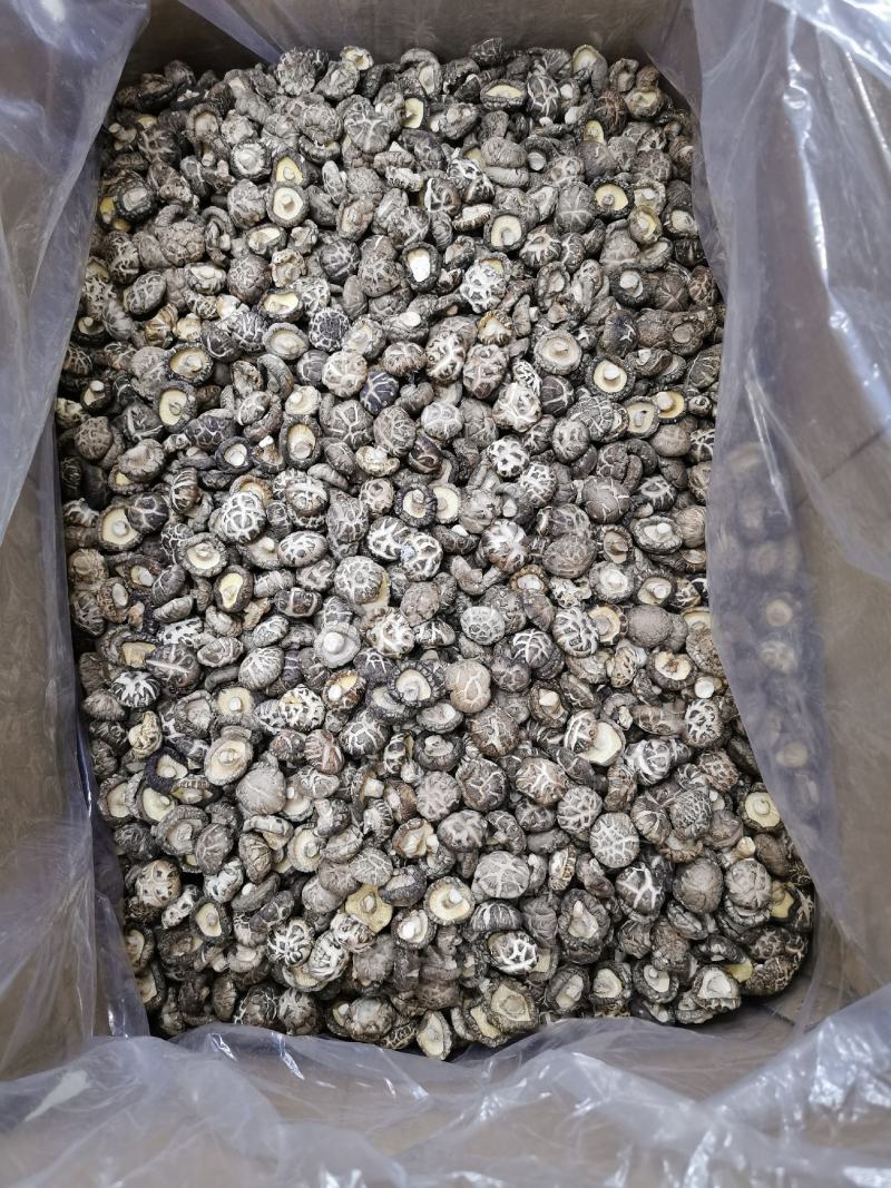 产地批发优质花菇量大稳定香菇干货大小规格都有