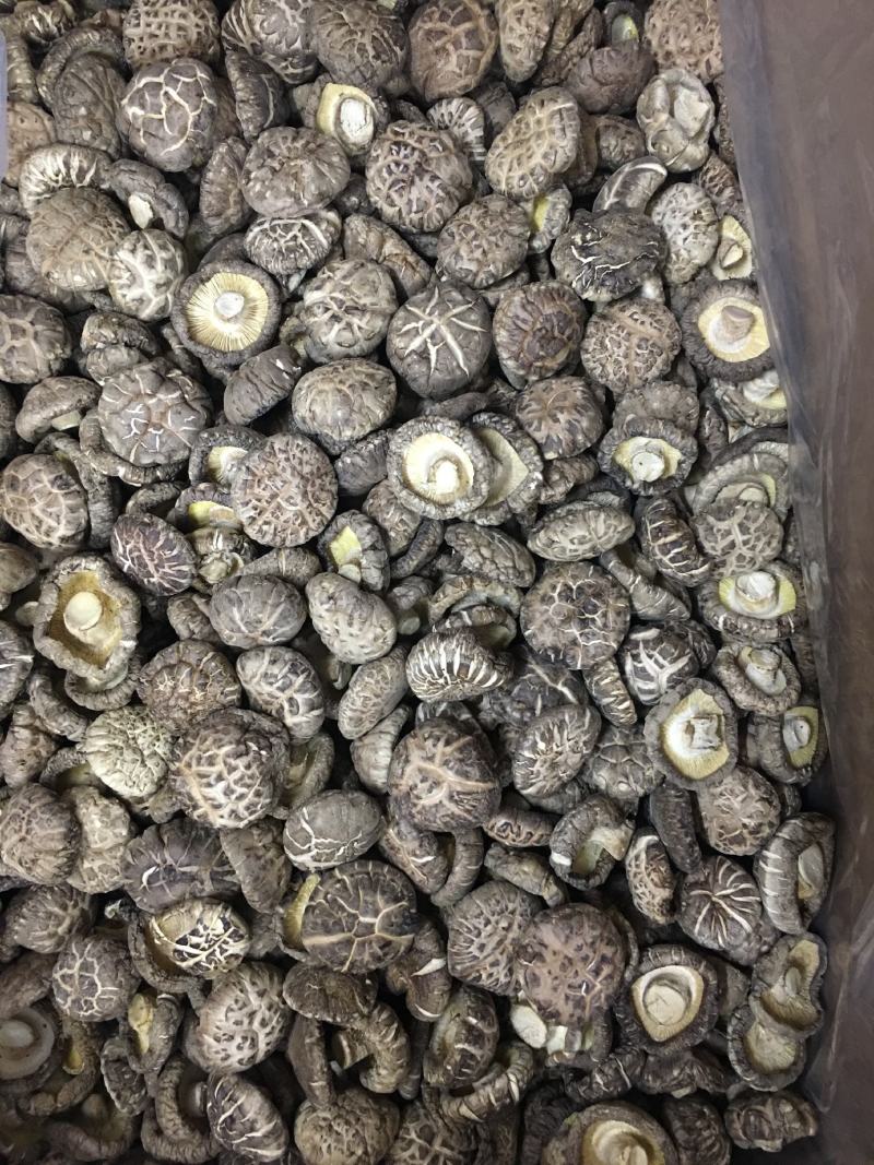 产地批发优质花菇量大稳定香菇干货大小规格都有
