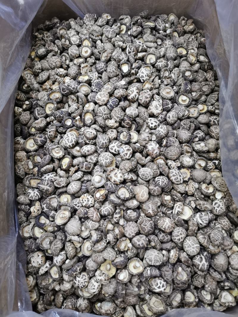 产地批发优质花菇量大稳定香菇干货大小规格都有