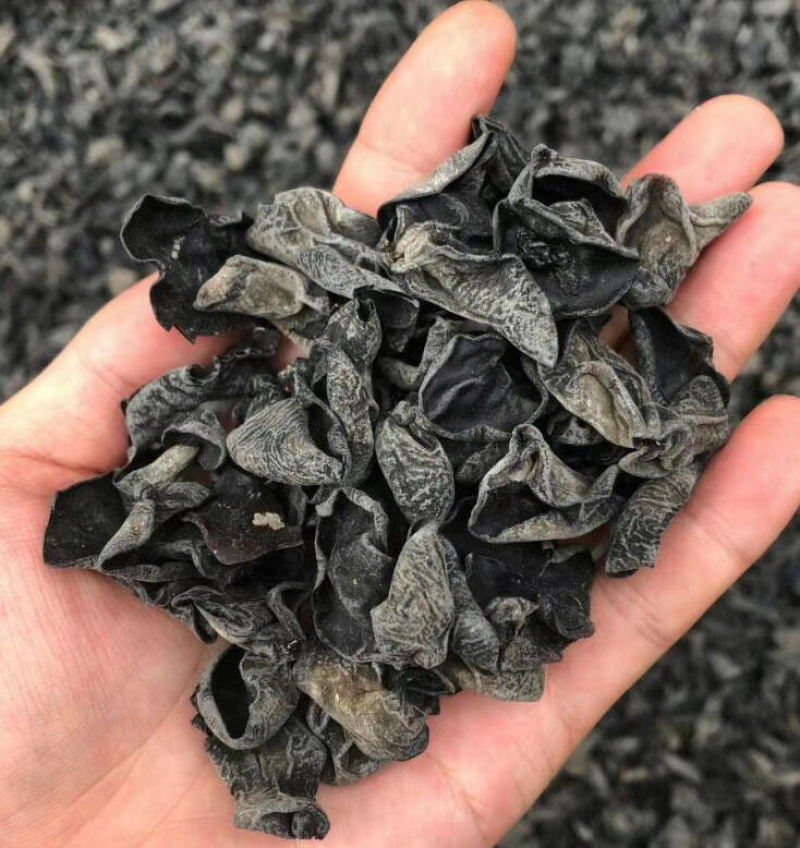东北小木耳黑木耳跑江湖跑地摊产品水洗木耳干货