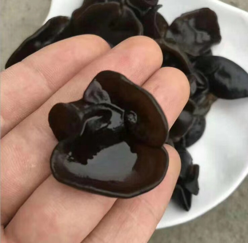 东北小木耳黑木耳跑江湖跑地摊产品水洗木耳干货