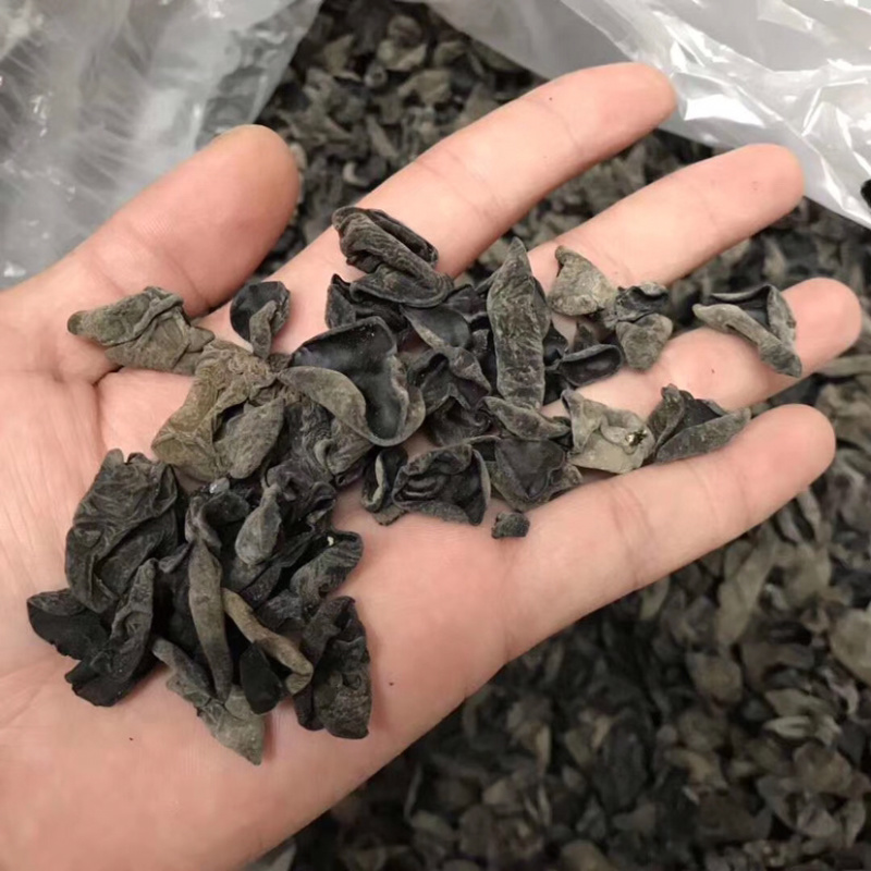 东北小木耳黑木耳跑江湖跑地摊产品水洗木耳干货
