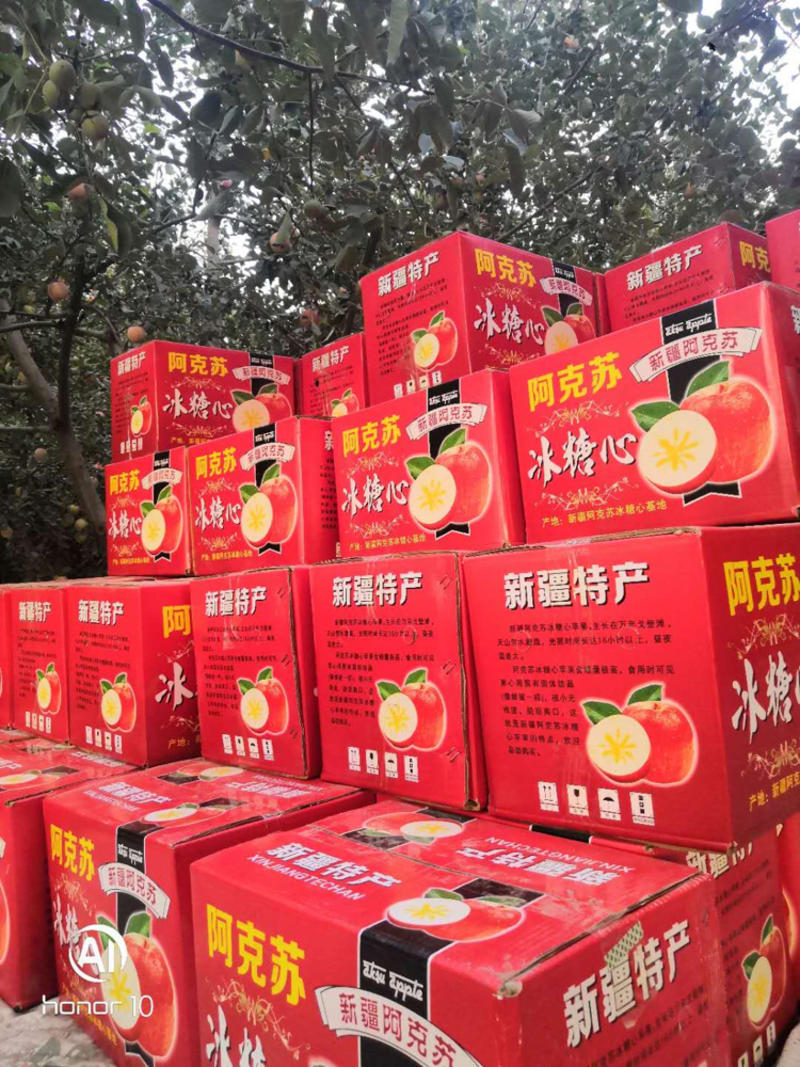 苹果新疆阿克苏苹果纯正冰糖心脆甜品质保证量大价优