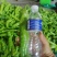精品大棚黄皮尖椒