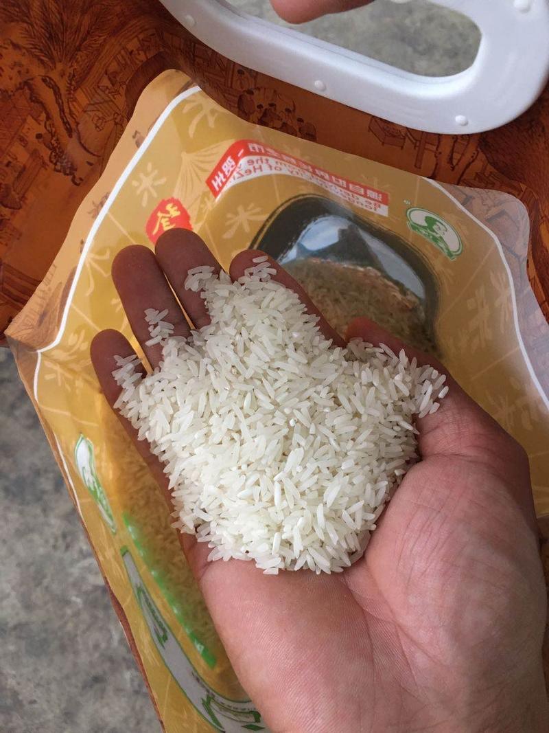 富硒大米广西贺州长寿米一手货源货源充足
