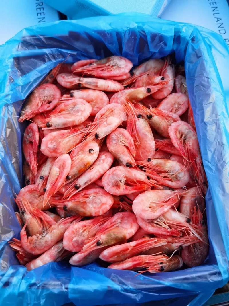 高品质北极甜虾，量大价优
