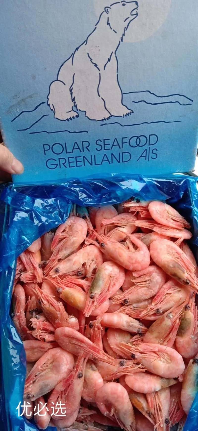 高品质北极甜虾，量大价优