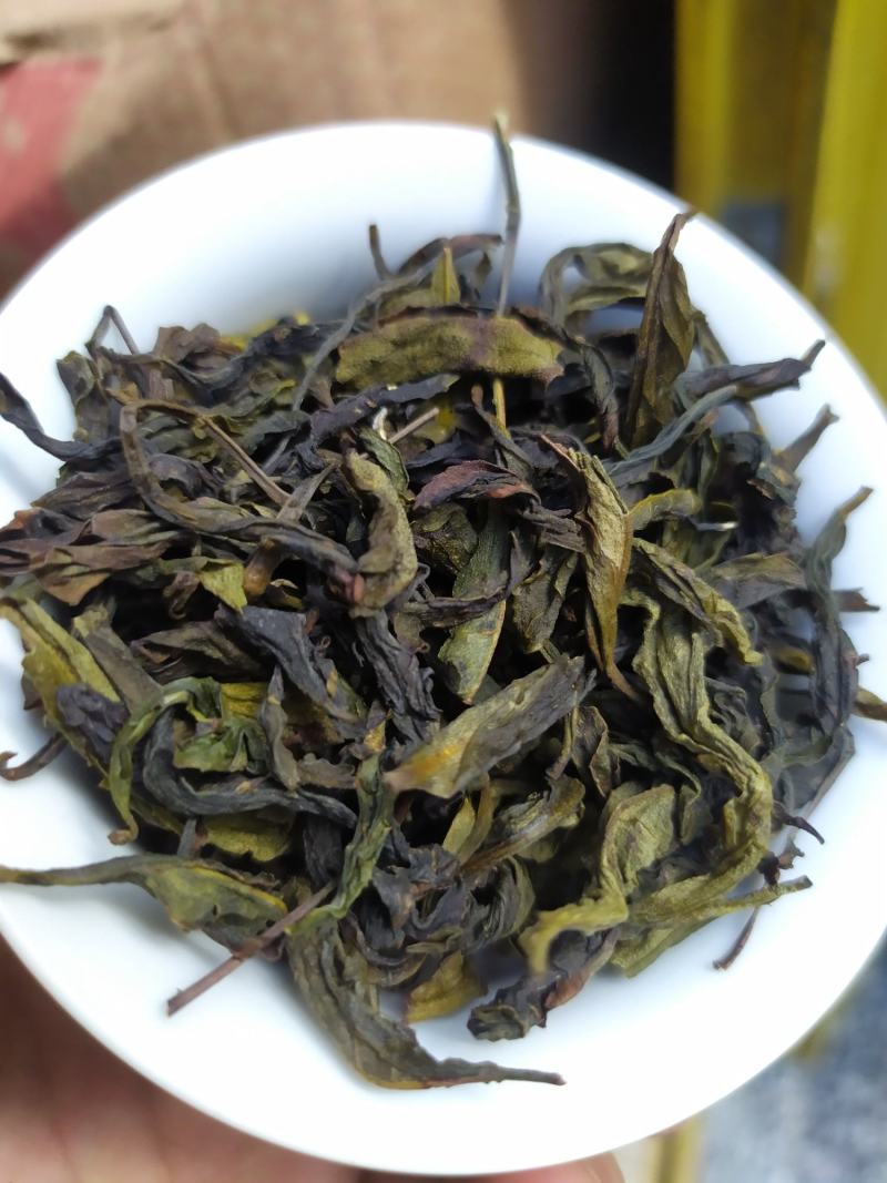 高山茶叶惠来土山茶潮汕工夫茶1斤大坪土山茶八仙茶山茶