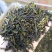 高山茶叶惠来土山茶潮汕工夫茶1斤大坪土山茶八仙茶山茶