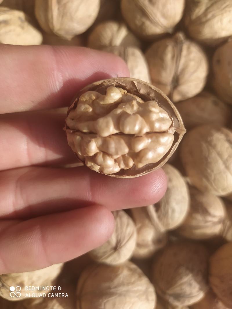 新鲜的核桃上市了，新疆185纸皮核桃，味道新鲜