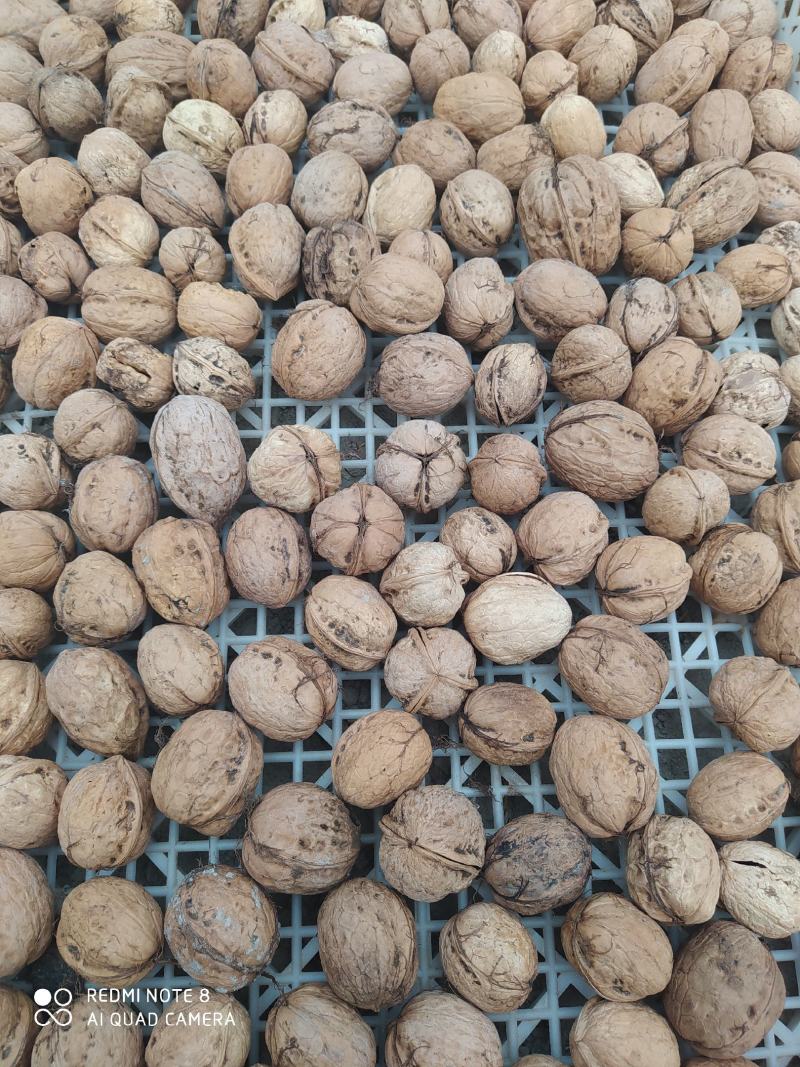 新鲜的核桃上市了，新疆185纸皮核桃，味道新鲜