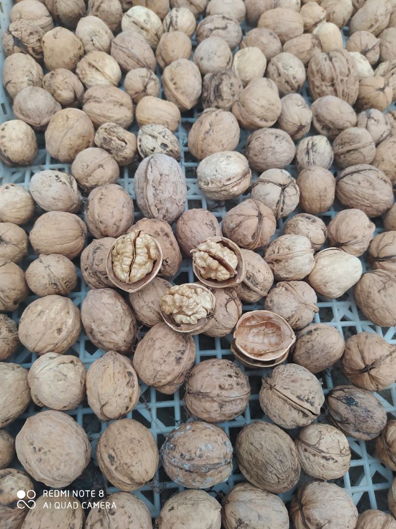 新鲜的核桃上市了，新疆185纸皮核桃，味道新鲜