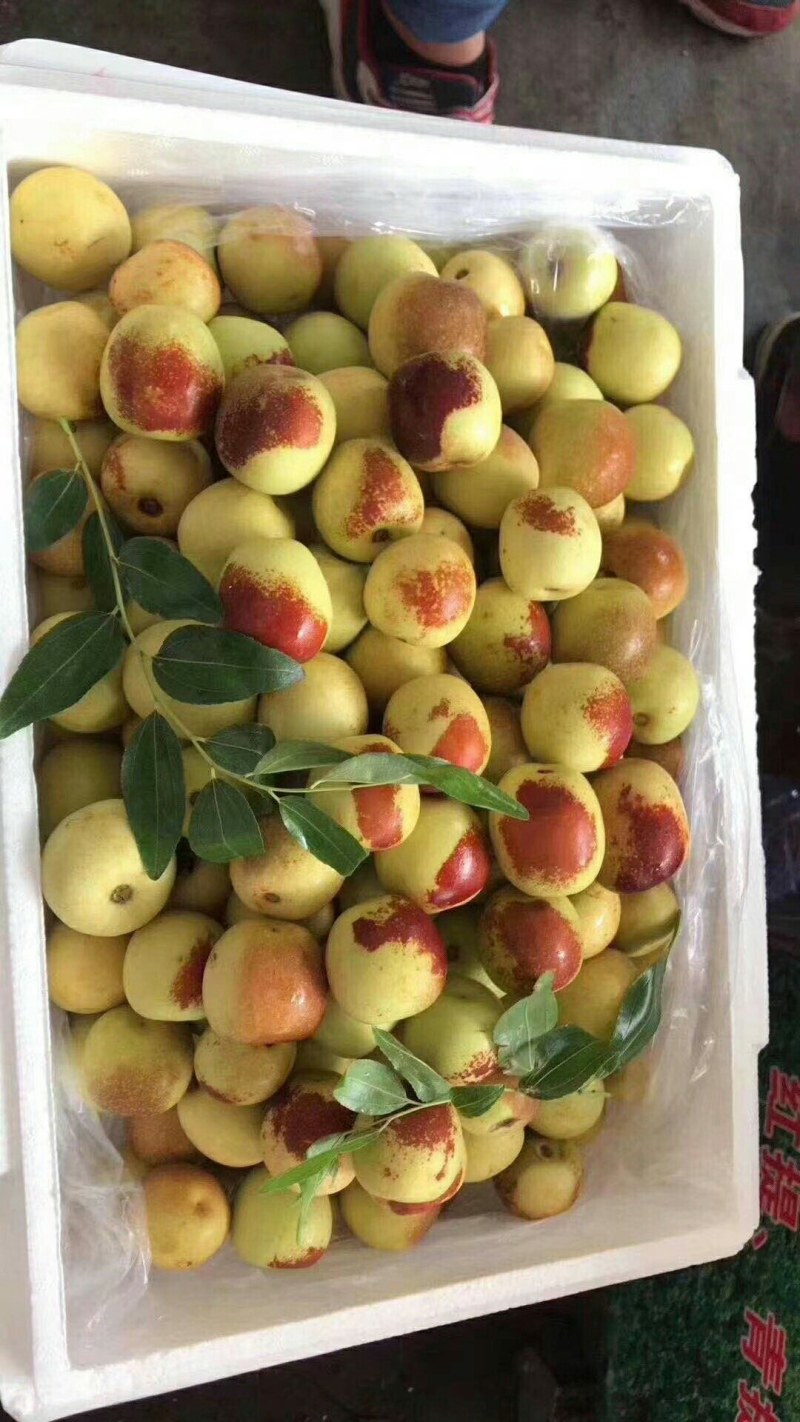陕西冬枣，泡沫箱，纸箱，都有可以，价格实惠