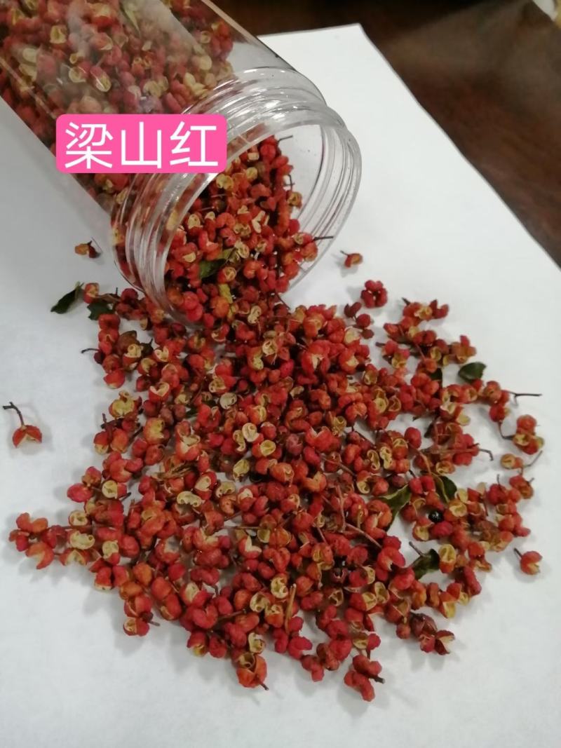 优质韩城大红袍花椒籽