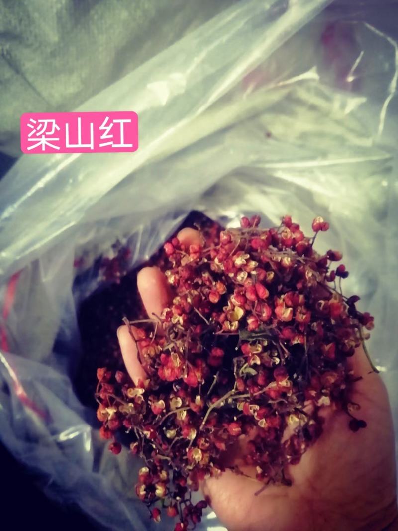 优质韩城大红袍花椒籽