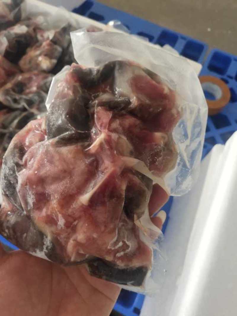 乌龟肉，餐饮，快餐，酒店，营养价值高