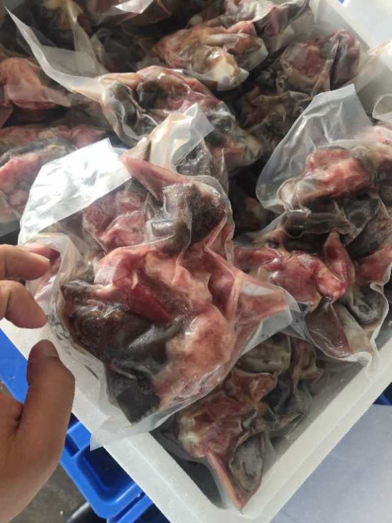 乌龟肉，餐饮，快餐，酒店，营养价值高