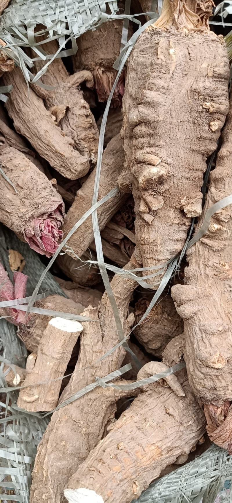 白芷香料产地直销一手货源充足批发零售，量大从优质量保证
