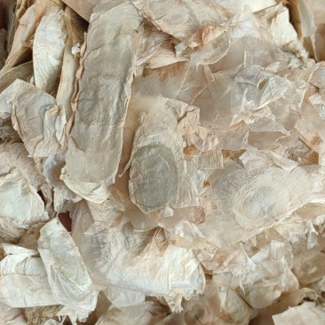 玉蝴蝶中药材供应木蝴蝶千张纸毛鸦船千层纸