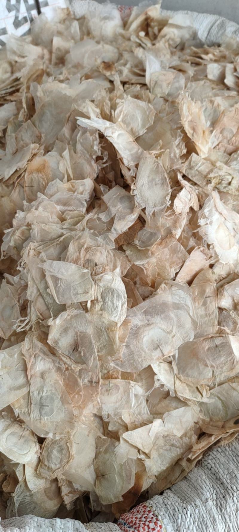 玉蝴蝶中药材供应木蝴蝶千张纸毛鸦船千层纸