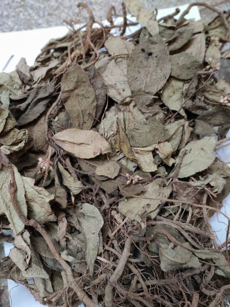 野生中药虎舌红