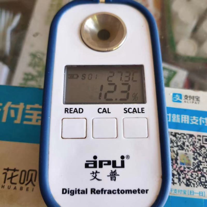 黑皮甘蔗，甜度够，条大个长