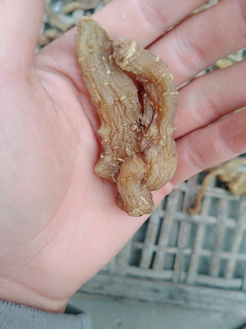 鸡头黄精、甜黄精统个中统货大量供应，