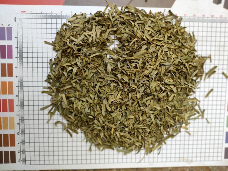 新货野生油柑叶新晒牛甘叶散装余甘子叶，油甘果叶子