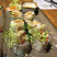 软壳蟹中餐西餐日料专用