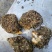 提供大量生蚝，中壳生蚝一般5—7个一斤，有自己的养殖场