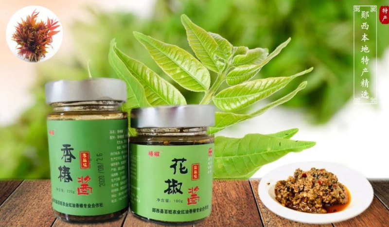 湖北郧西特产香椿香椿酱香辣味下饭农产地理标志香椿酱荚膜