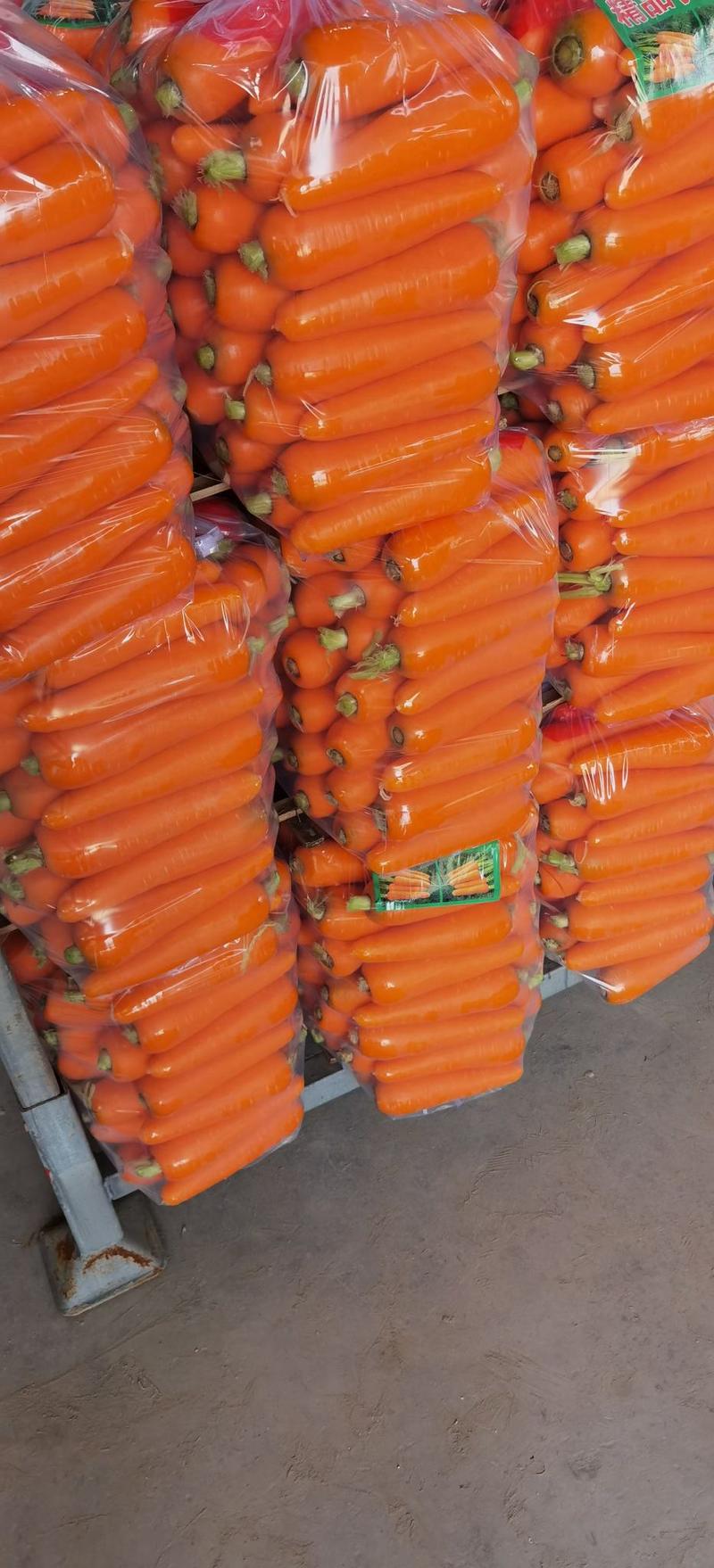 水洗胡萝卜一手货源批发品质保证价格美丽量大从优