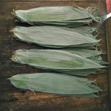 缘香粽叶专业合作社新鲜越南小通货干粽叶