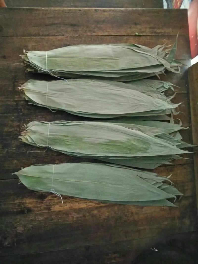 缘香粽叶专业合作社新鲜越南小通货干粽叶