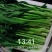 尽量的去发展高原山区品质高的绿色蔬菜，各种蔬菜品类。
