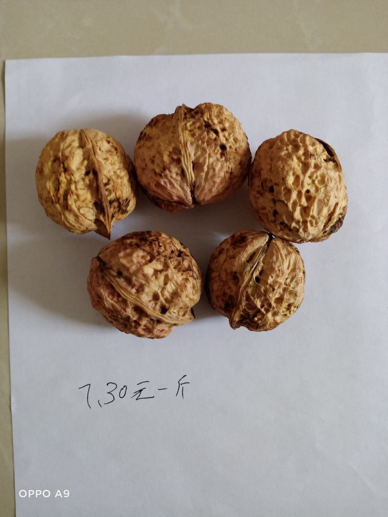【聚便宜有好】云南普洱无量山薄壳核桃，云南省大麻子泡核桃