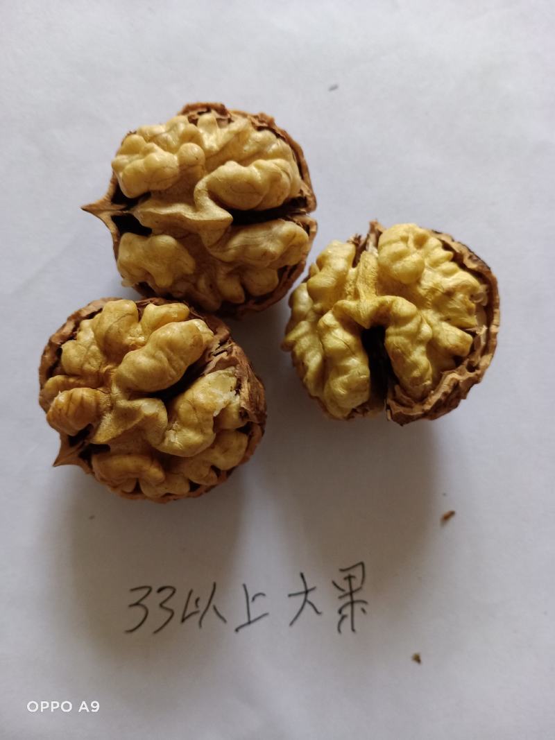 【聚便宜有好】云南普洱无量山薄壳核桃，云南省大麻子泡核桃