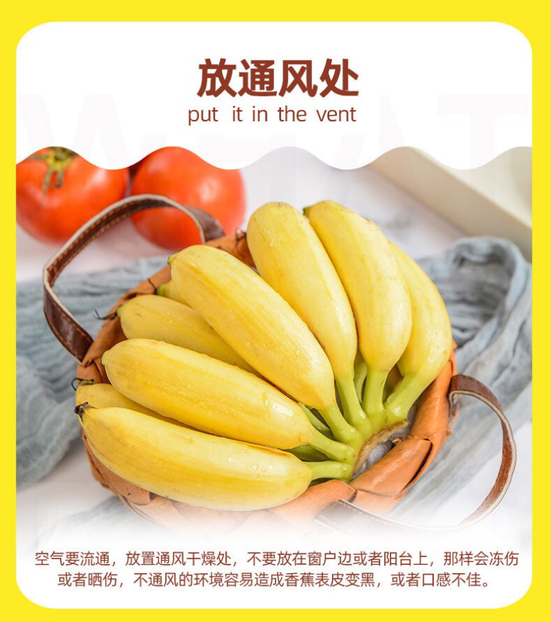 广西当季小米蕉新鲜5斤10斤香甜软糯非皇帝蕉一件代发包邮