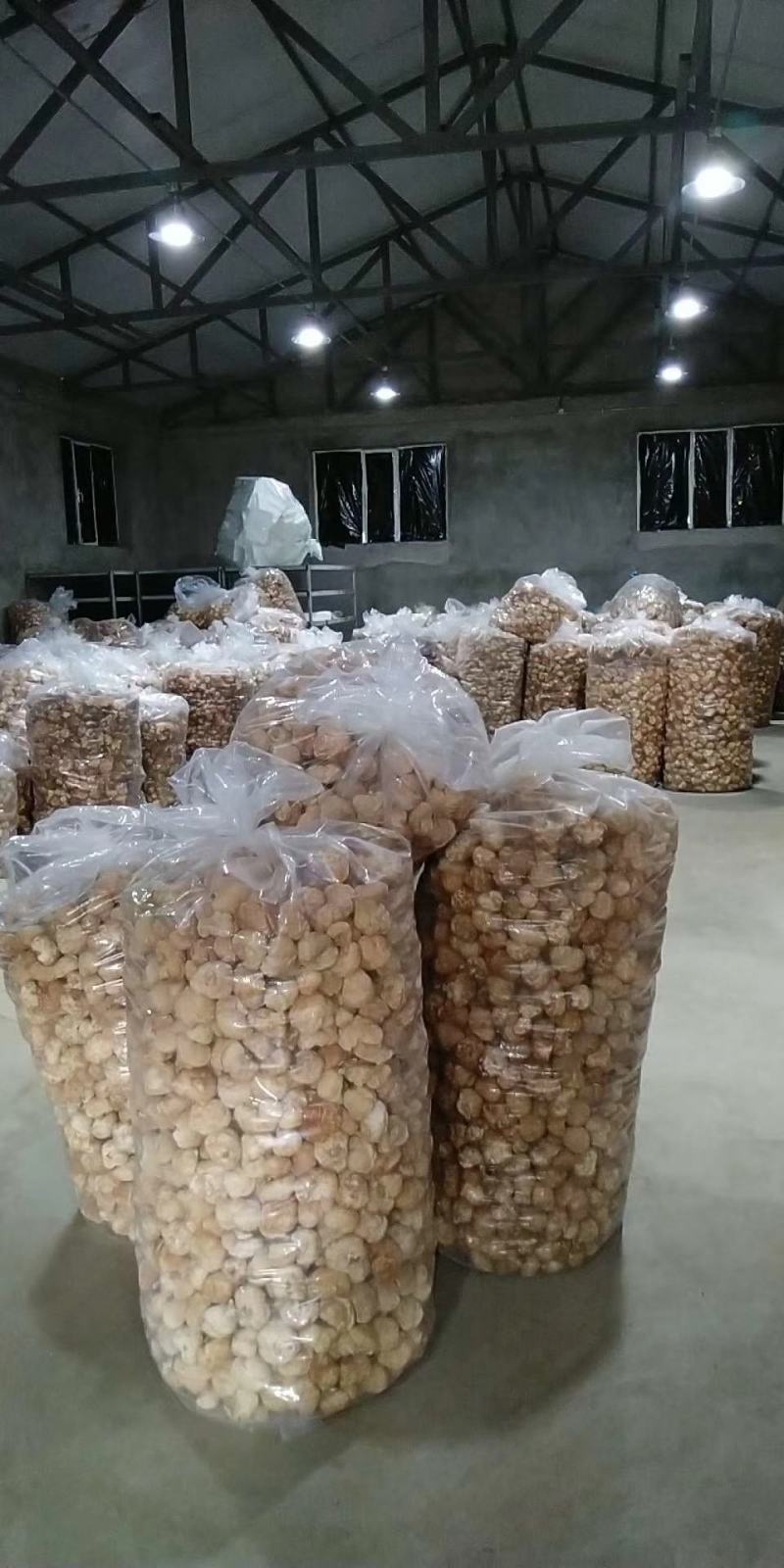 猴头菇猴头东北猴头大兴安岭产地直发一手货源