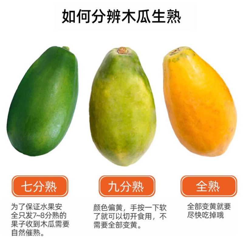 广西红心木瓜5斤10斤整箱现摘新鲜当季包邮一件代发