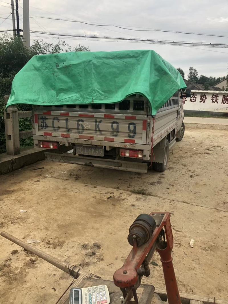 新红富士苹果膜袋纸袋纸加膜红富士苹果专业挑拣一条龙服务