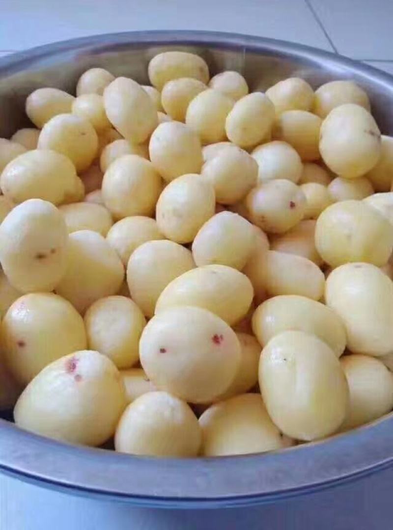 专业迷你黄心小土豆供应，常年基地培育鲜货供应，小吃食品