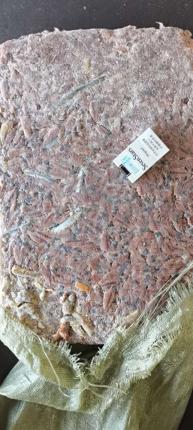 小鱿鱼虾鱼蟹鱼食