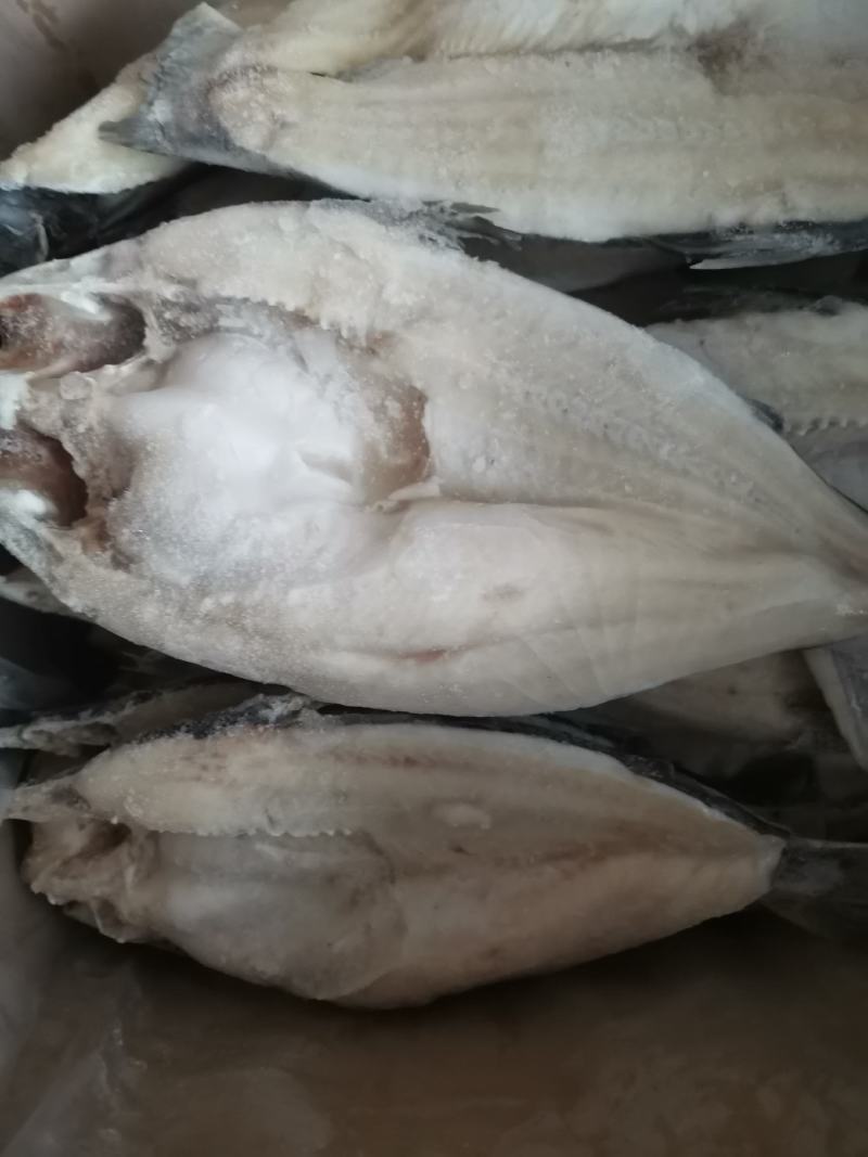 开背巴沙鱼，不保水，国产，进口都有，省内一件也发货，各种
